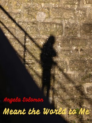 cover image of Meant the World to Me